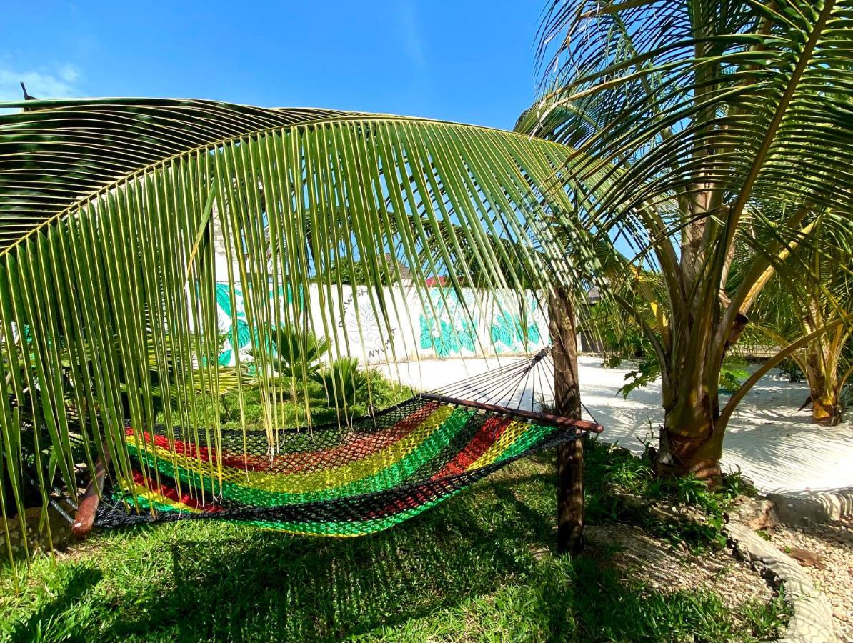 Darwesh Nyumba Lodge Nungwi Dış mekan fotoğraf
