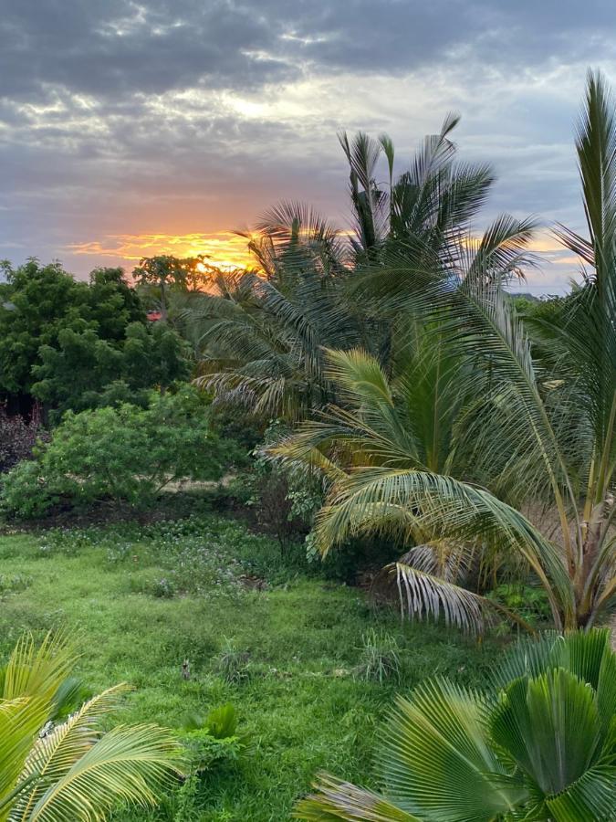 Darwesh Nyumba Lodge Nungwi Dış mekan fotoğraf