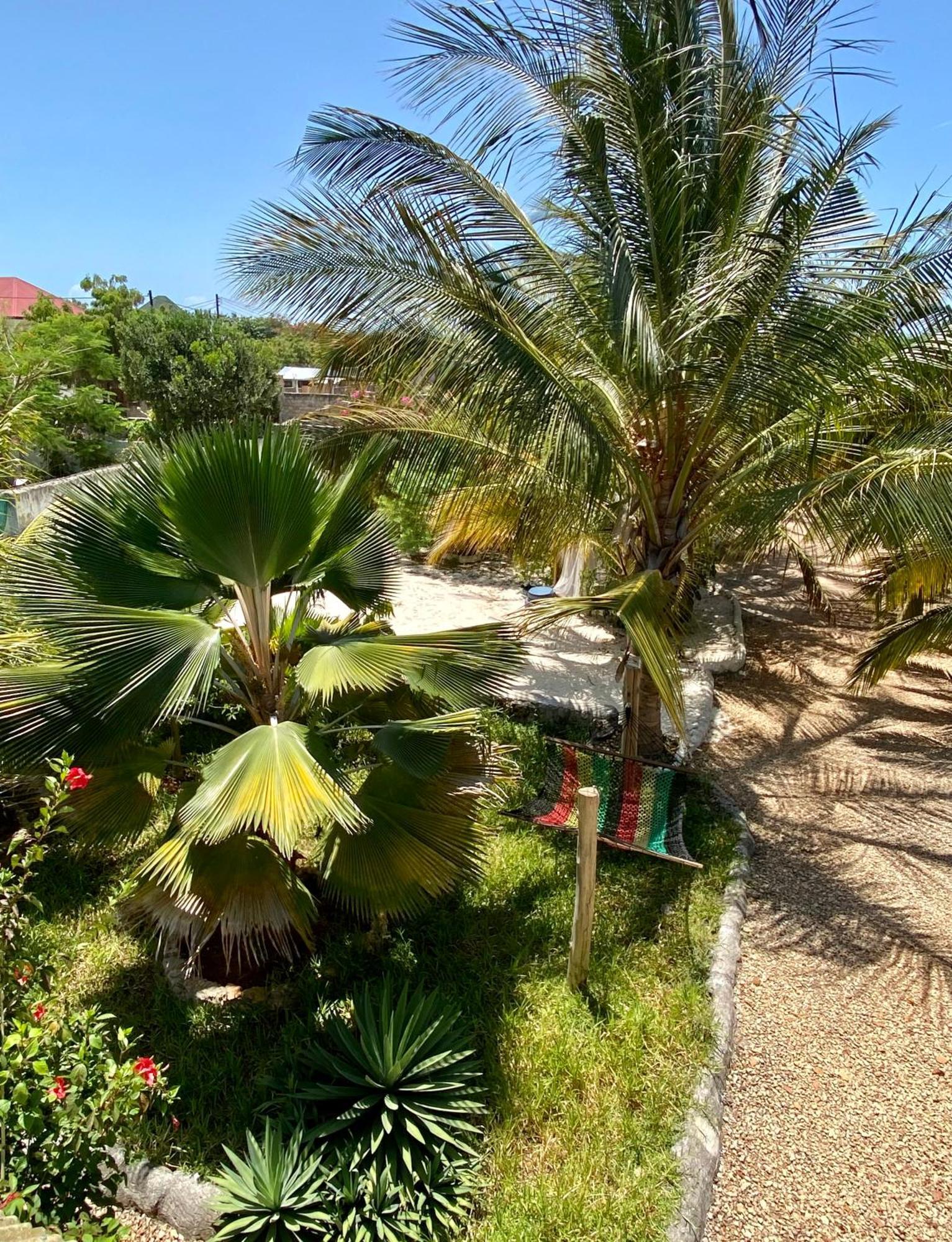 Darwesh Nyumba Lodge Nungwi Dış mekan fotoğraf